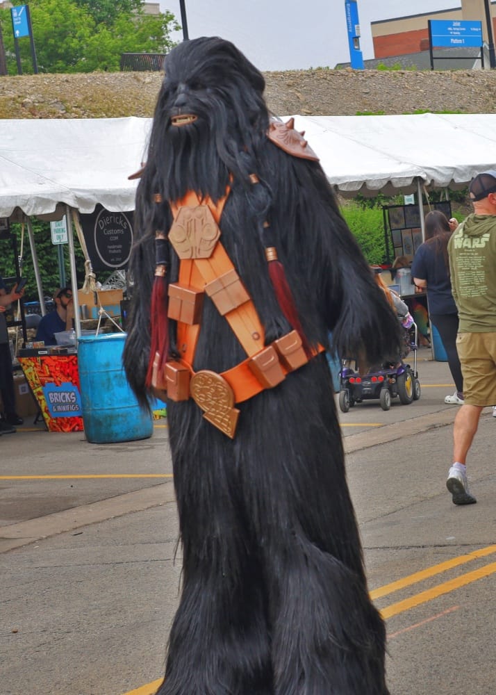 Joliet Public LIbrarary Star Wars Day 2025 Cosplay Photos