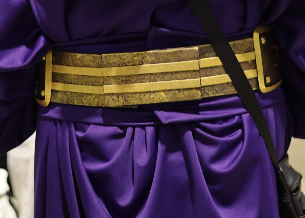 C2E2 2026 Cosplay Backs