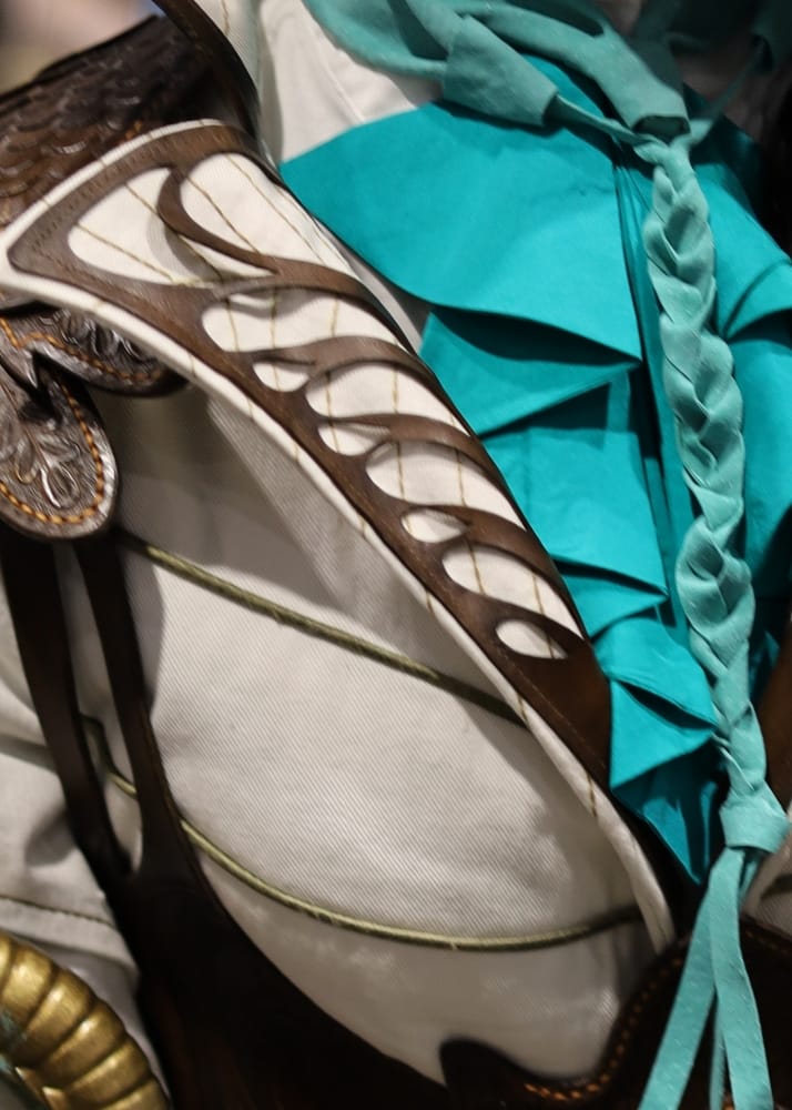 C2E2 2026 Cosplay Backs