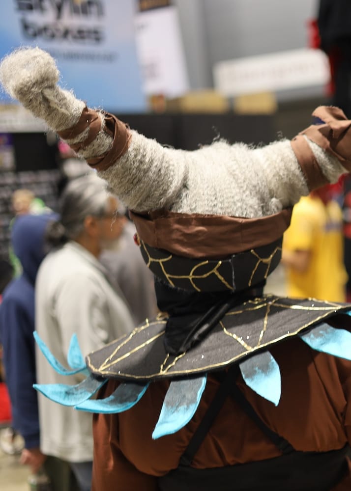 C2E2 2026 Cosplay Backs