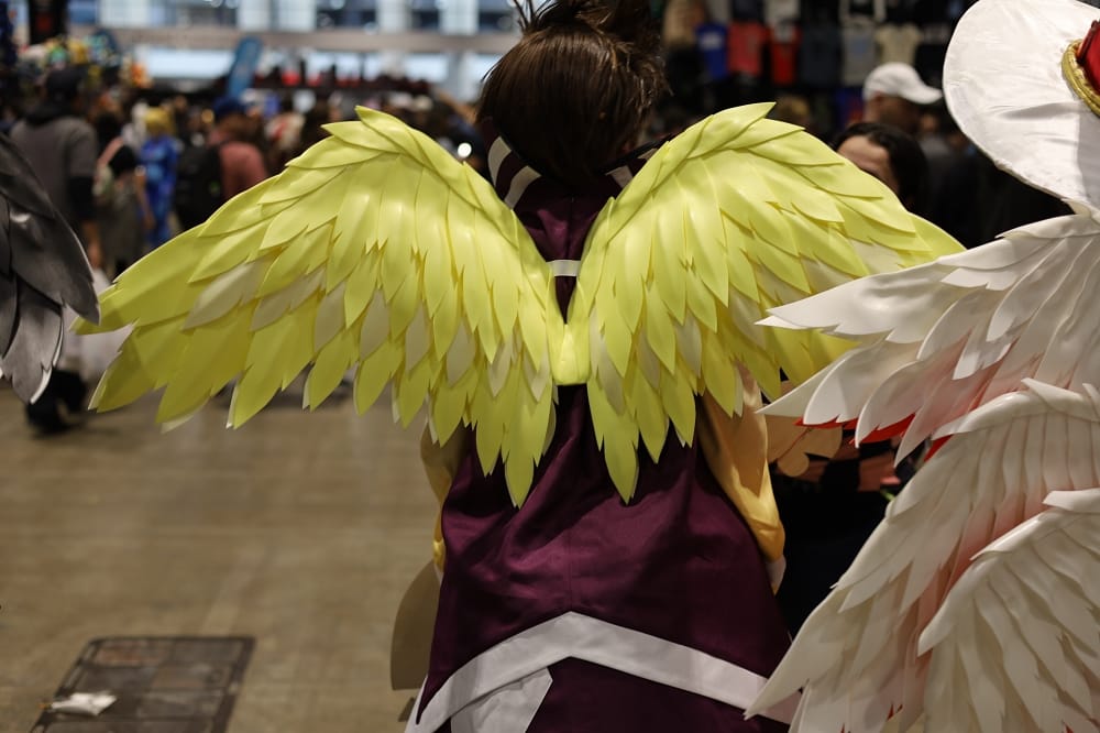 C2E2 2026 Cosplay Backs
