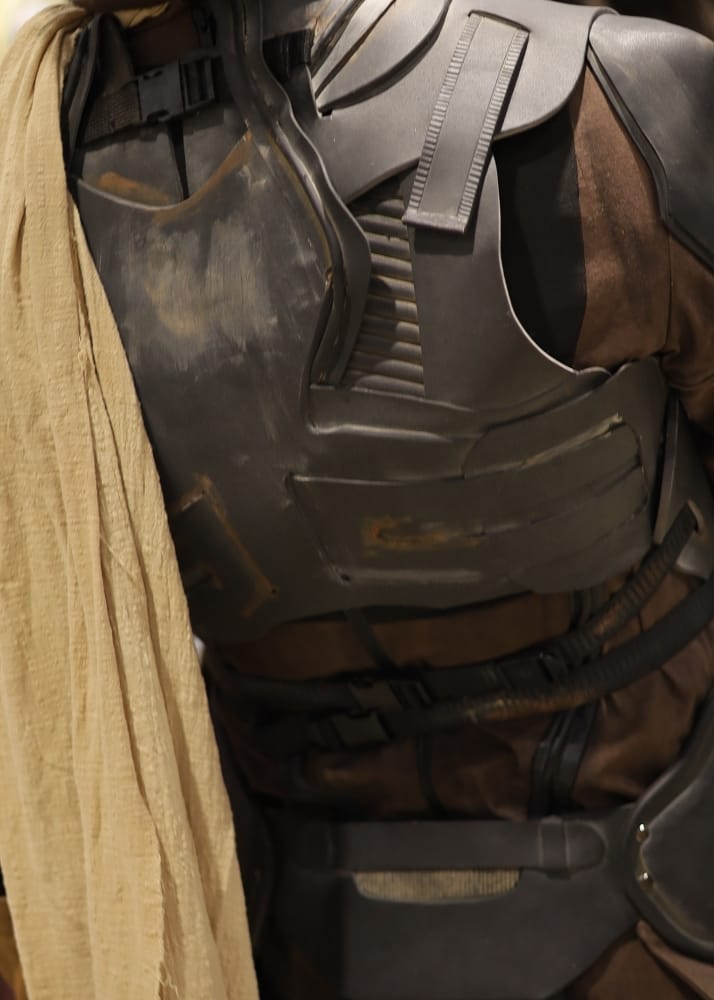 C2E2 2026 Cosplay Backs