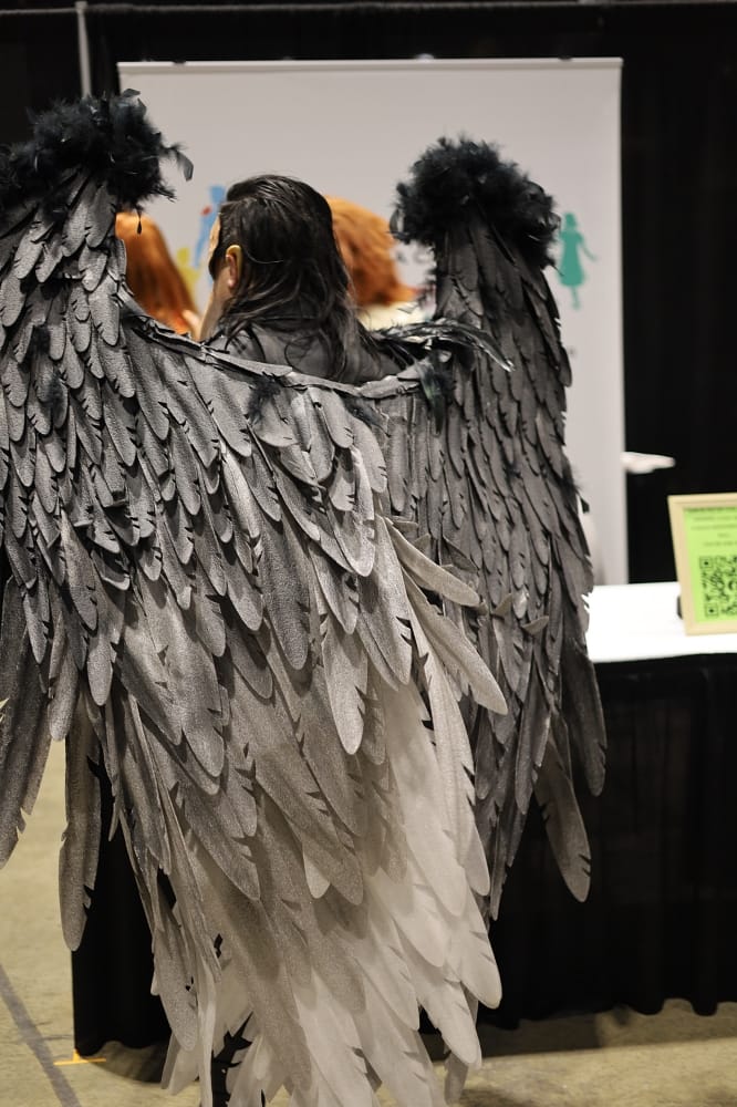 C2E2 2026 Cosplay Backs