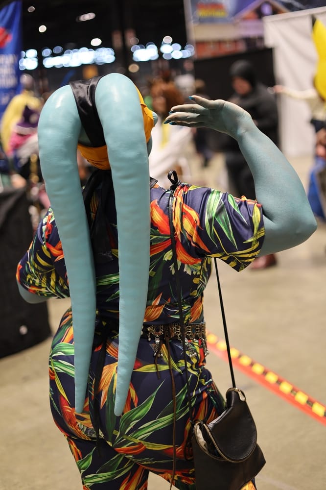 C2E2 2026 Cosplay Backs