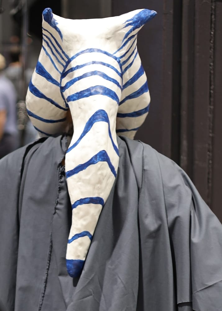 C2E2 2026 Cosplay Backs