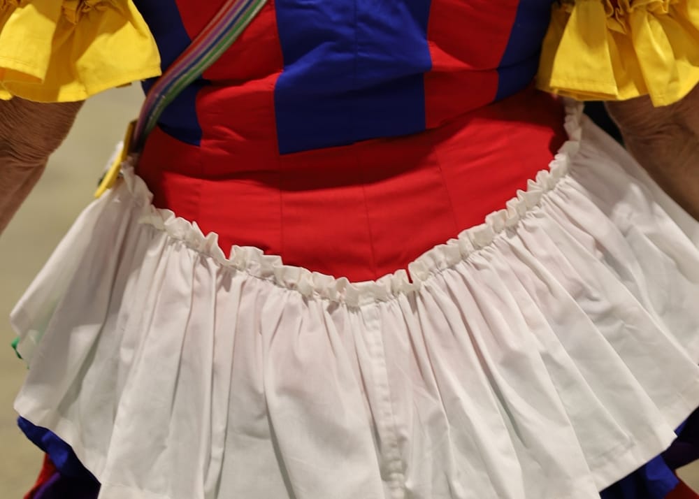 C2E2 2026 Cosplay Backs