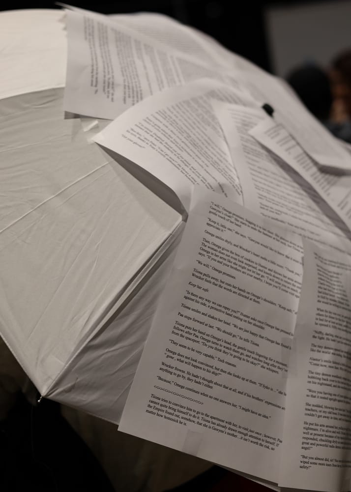 C2E2 2026 Cosplay Backs