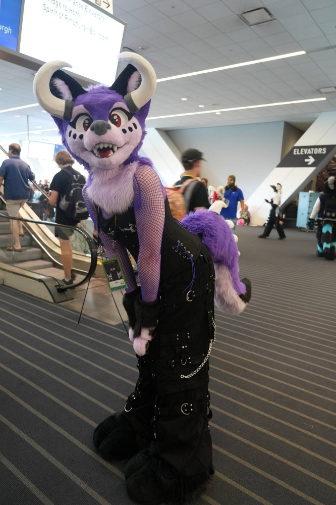 Anthrocon 2026 Cosplay Photos by Gary Margeson